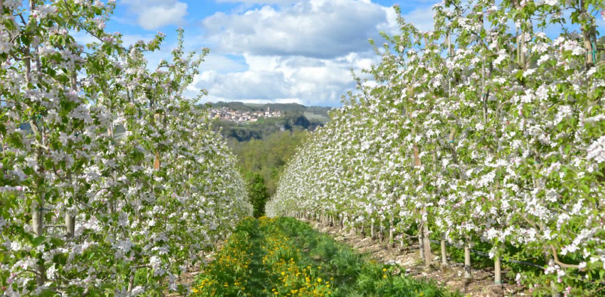 Per fare una valle ci vuole un fiore