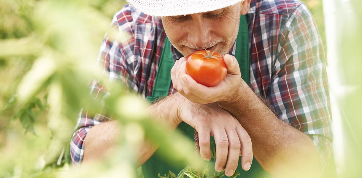 Verso un’agricoltura sostenibile 