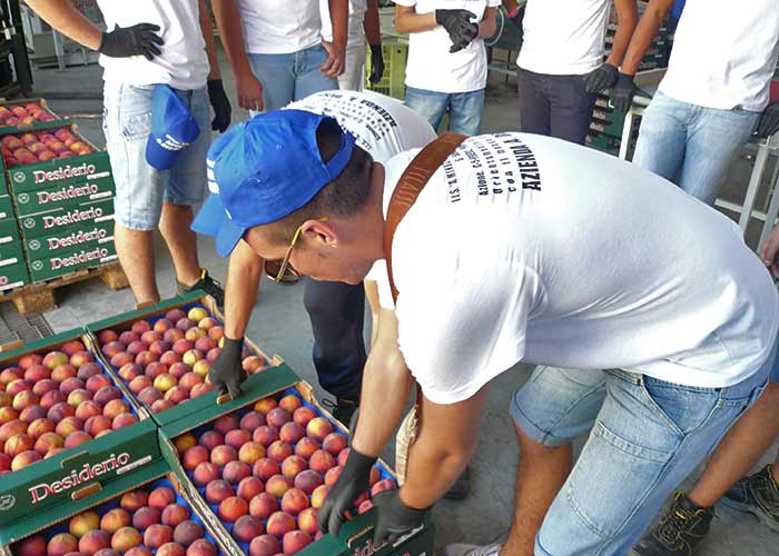 BCC Agro Pontino. Grande successo per il Consorzio al Berlin Fruit 2024