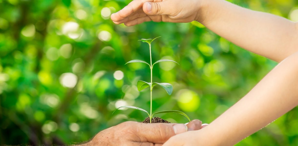 Sovranità alimentare: un diritto che nutre il pianeta