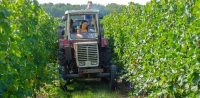 BCC Colli Albani. Rinnovati i patentini per Operatore Macchine Agricole