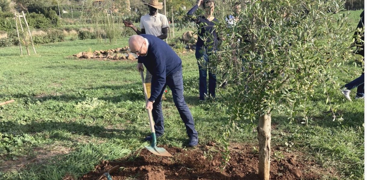 Confcooperative. Accordo con AzzeroCO2 per una transizione ecologica consapevole