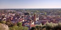 Banca Versilia Lunigiana e Garfagnana.  In corso la mostra dal titolo “Pietrasanta Araldica”  