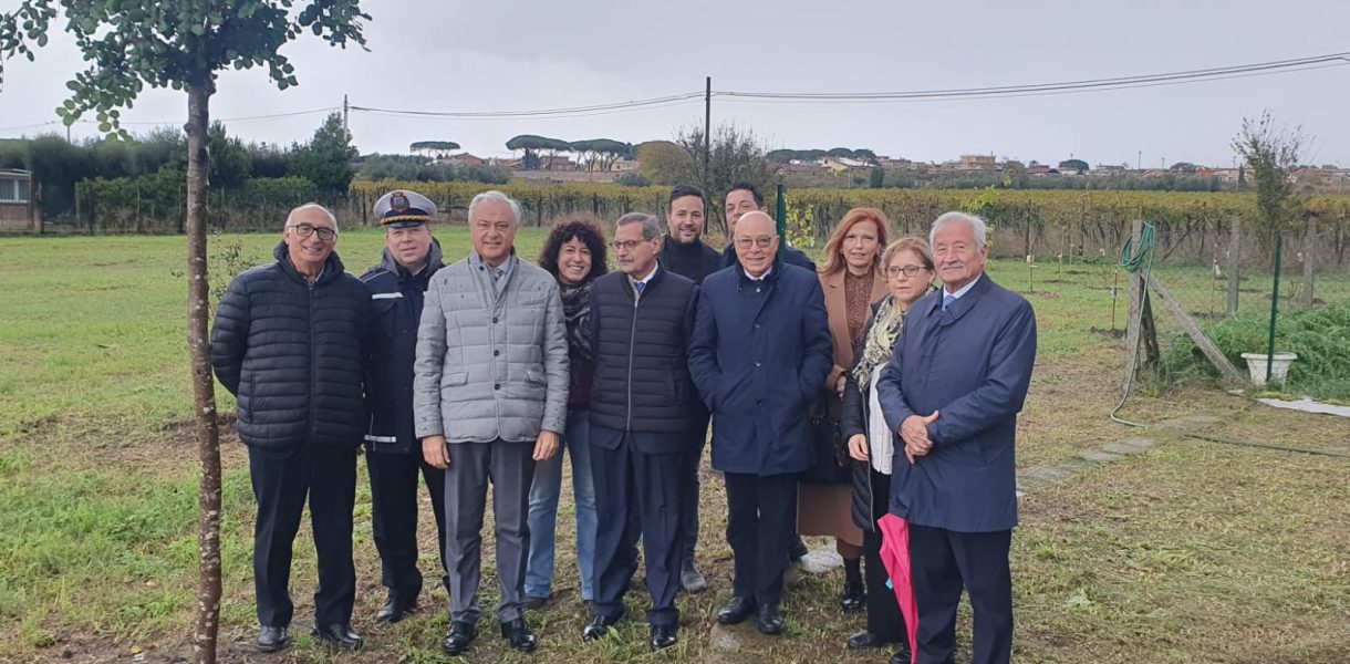 BCC Colli Albani. Cresce il patrimonio verde di Genzano e Marino